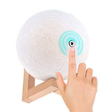 Knight 15cm 3D moon lamp with wooden stand