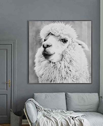 Febland Alpaca Glass Art Picture, White, Square