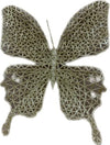 Set of three large gold glitter clip-on butterfly decorations