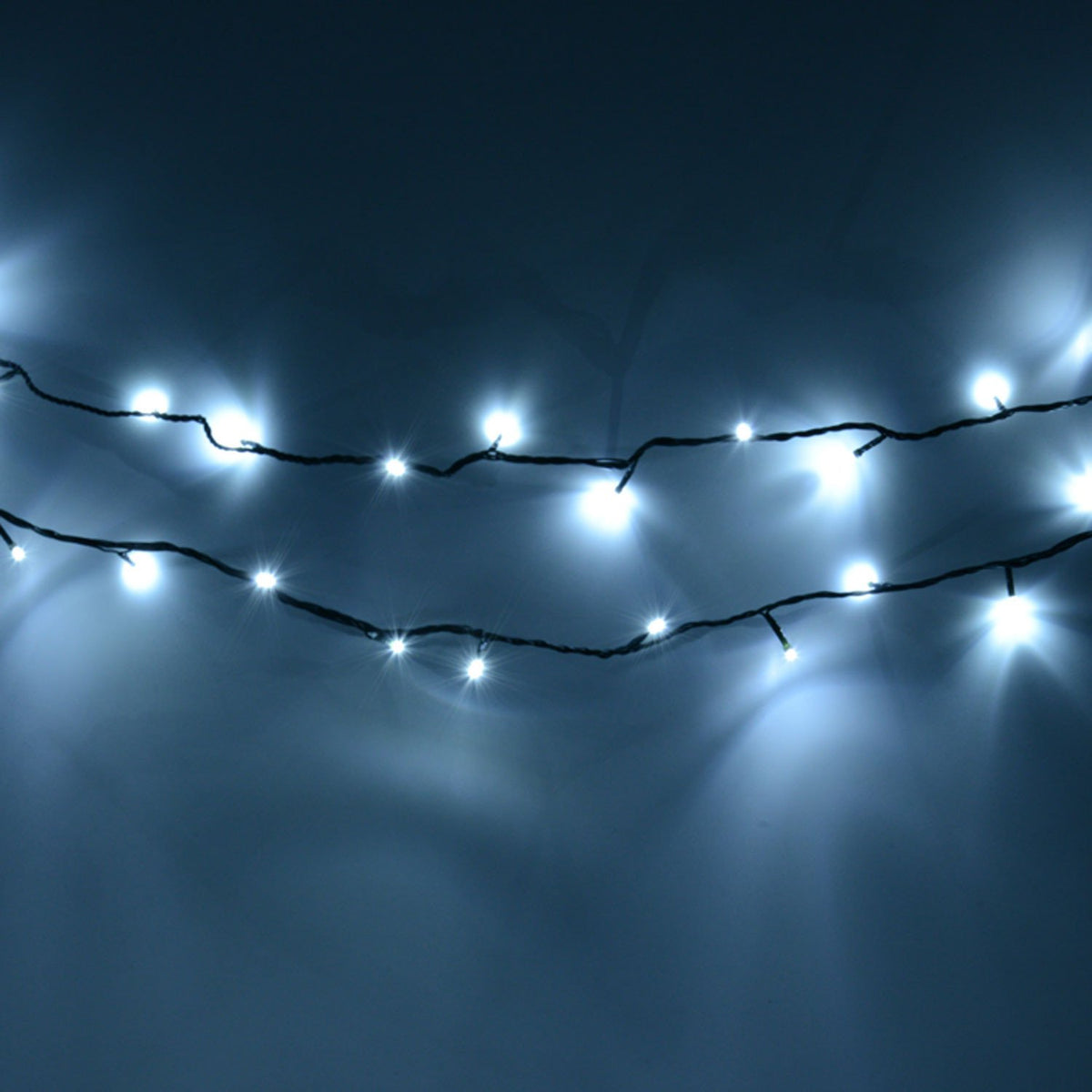 Premier 480 white LED Supabrights Christmas lights on green cable
