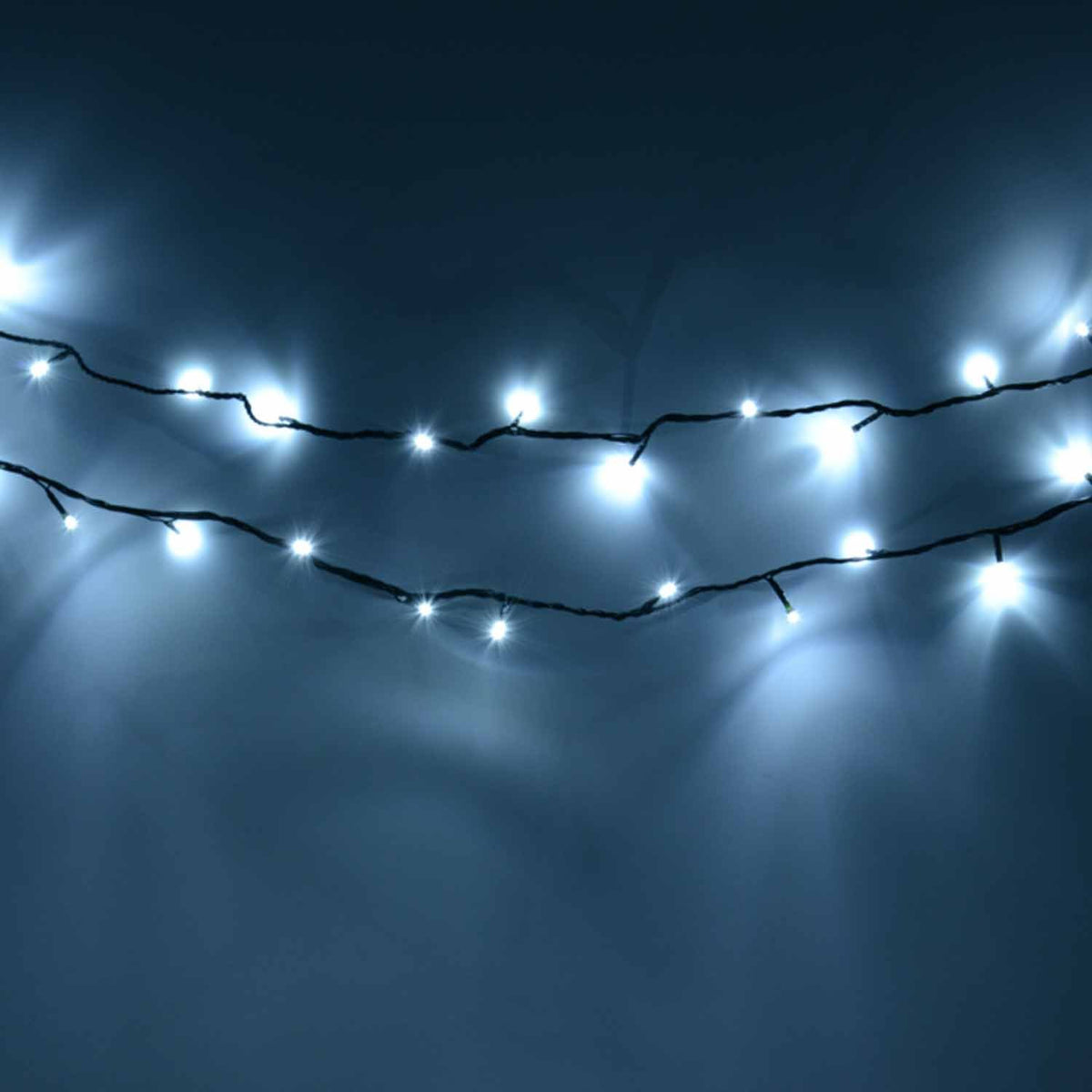 300 bright white LED chaser Christmas lights – 20.9m