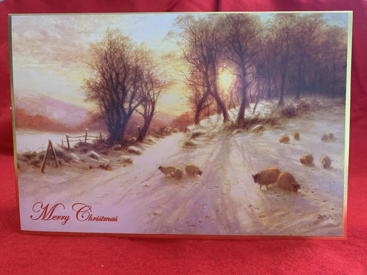 Pack of 10 sheep in snow Christmas cards with envelopes