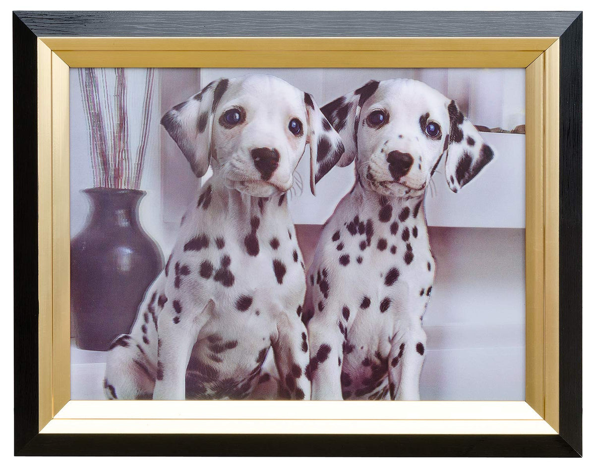 Febland Dalmations Hologram Framed Picture, Black/White, Small