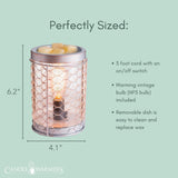 Candle Warmers Etc. Chicken Wire vintage bulb fragrance warmer