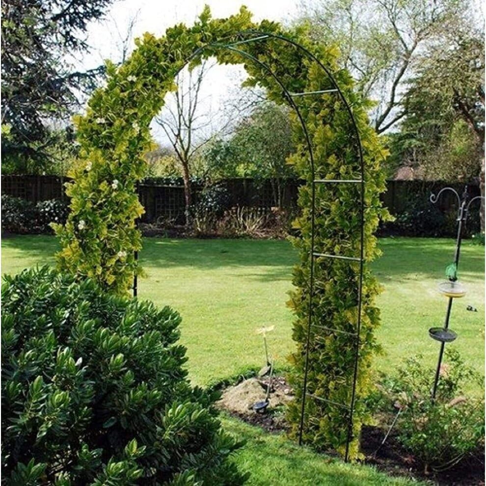 MyGarden Florence black steel garden arch for climbing plants