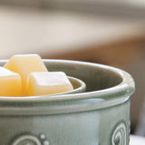 Candle Warmers Etc. Perennial sage green fan fragrance warmer