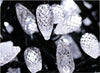 100 white LED strawberry Christmas lights