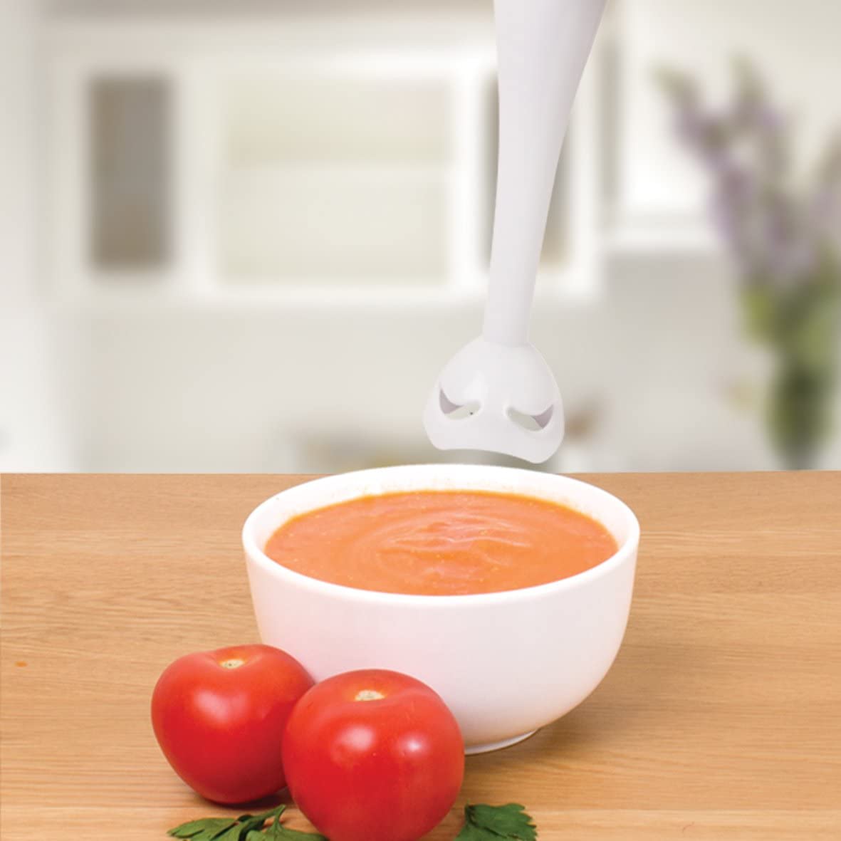 Quest two-speed handheld stick blender for soups and sauces
