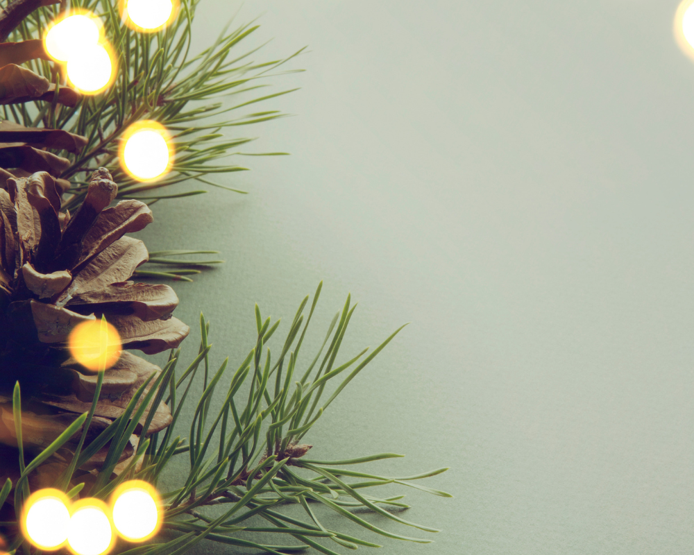 Need Christmas Lighting Help? Top Tips & Ideas for Christmas