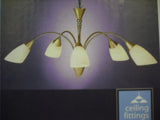 Five-light polished brass curved arm chandelier