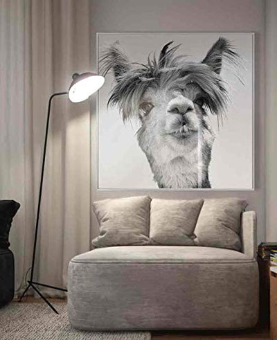 Febland Llama Glass Art Picture, Black & White, Square