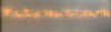 40 LED rice lights with brown and amber beads
