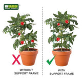 MyGarden nine pack green plant supports – 30 x 30cm