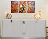 Febland Framed Acrylic Pictures-Autumn Tree (Set of 3), Orange, Large