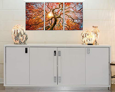 Febland Framed Acrylic Pictures-Autumn Tree (Set of 3), Orange, Large