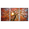 Febland Framed Acrylic Pictures-Autumn Tree (Set of 3), Orange, Large