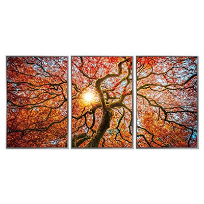 Febland Framed Acrylic Pictures-Autumn Tree (Set of 3), Orange, Large