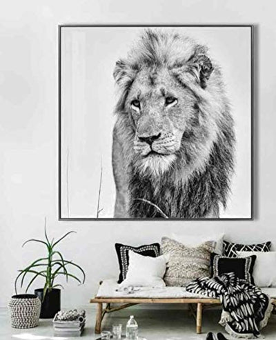 Febland Lion Glass Art Black & White Picture, Square