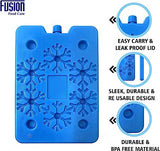 Freezer Pak large reusable ice packs four pack 26 x 32cm