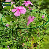 MyGarden nine pack green plant supports – 30 x 30cm