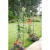 MyGarden Florence black steel garden arch for climbing plants