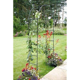 MyGarden Florence black steel garden arch for climbing plants