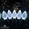 Premier 100 bright white LED strawberry Christmas lights