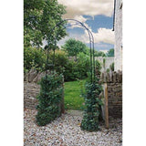 MyGarden Florence black steel garden arch for climbing plants