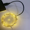 20 warm white USB LED string lights