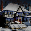 Christmas Workshop 240 LED Bright Blue Snowing icicles, Indoor and Outdoor, lights ~ Christmas, Weddings & Gardens ~ 87800