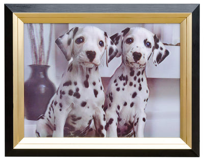 Febland Dalmations Hologram Framed Picture, Black/White, Small