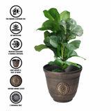 Set of two 30cm plastic plant pots with drainage holes