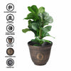 My Garden Plant Flower Pot Set of 2 Indoor & Outdoor 30CM Plastic Plant Pots With Drainage Holes Lightweight Easy To Move Plant Pots Garden Decoration Herb Orchid Planting Pot (Antique Bronze Effect)