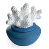 Airomé Coral porcelain passive essential oil diffuser