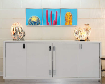 Febland Framed Acrylic Pictures-Cactus (Set of 3), Blue, Large