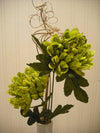 HARTES Green Dried Flower Arrangment in White Vase