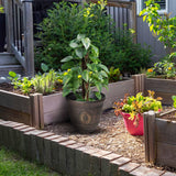 Set of two 30cm plastic plant pots with drainage holes