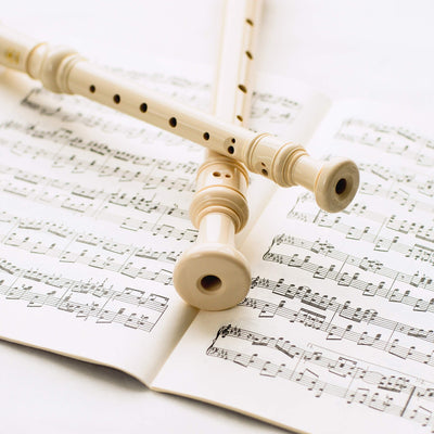 Global Gizmos 56070 Music in A Box Set | Including Recorder and Harmonica | Travel Size | Kids Entertainment | Christmas/Birthdays/School Holidays, Various