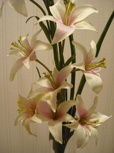 GRASS AND LILLIES IN SPIRAL VASE