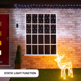 108 bright white LED static Christmas net lights – 1.2 x 1.2m