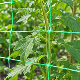 Close up of green garden support mesh around climbing plants