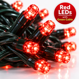 Close-up of Premier red LED Supabrights with green cable