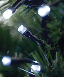 256 bright white LED Christmas lights