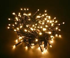 256 warm white LED Christmas lights