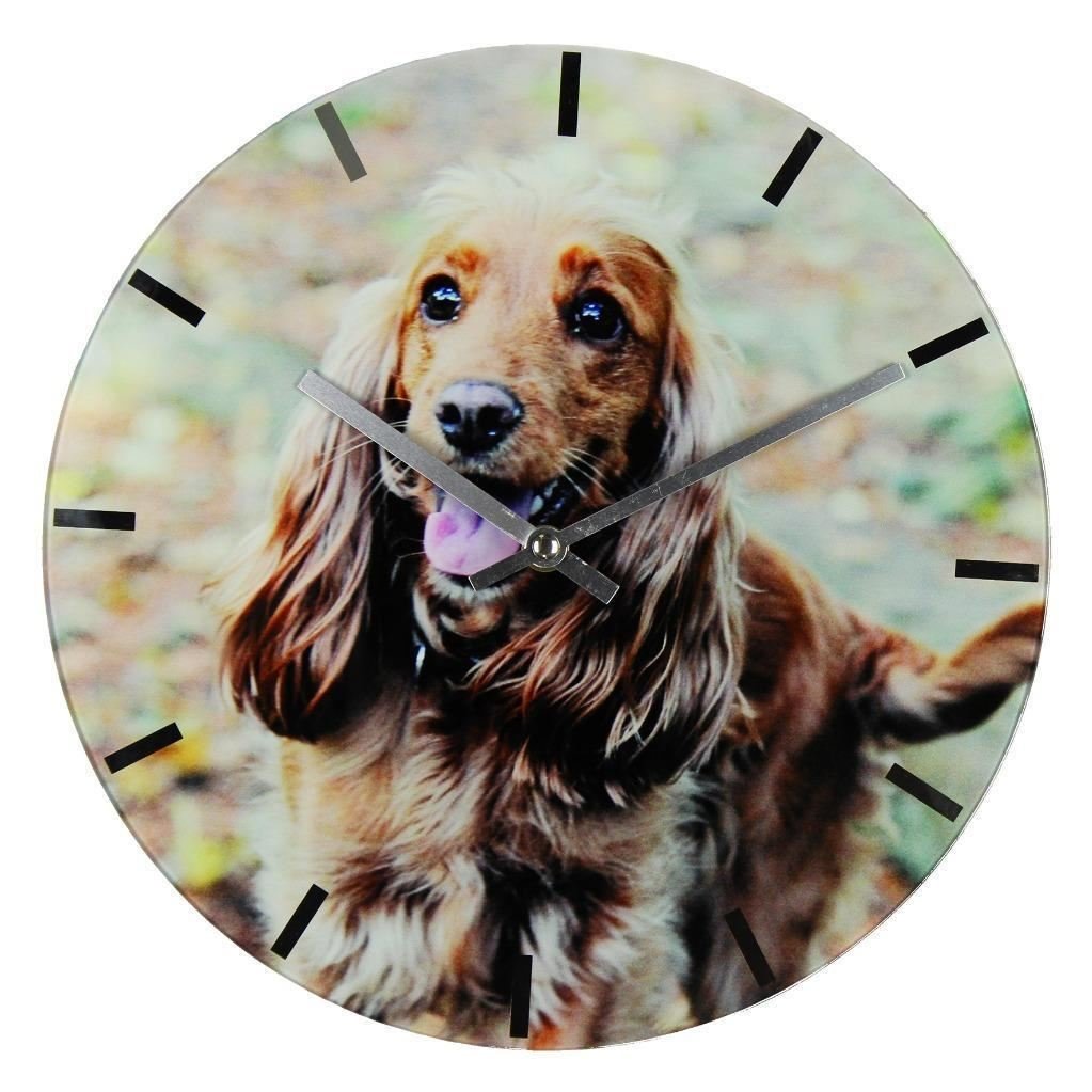 Best of Breed 30cm Spaniel dog glass wall clock
