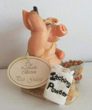 Load image into Gallery viewer, Pigs Galore - Pork Scratchings Ornament
