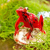 Red Jungle Frog Glass Paperweight